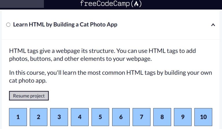 Responsive Web Design – Cat Photo App – Lessons 1,2,3