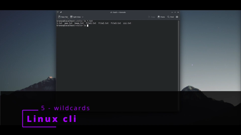 Linux CLI 5 🐧 Wildcards