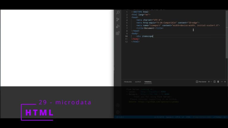 HTML 29 💻 microdata