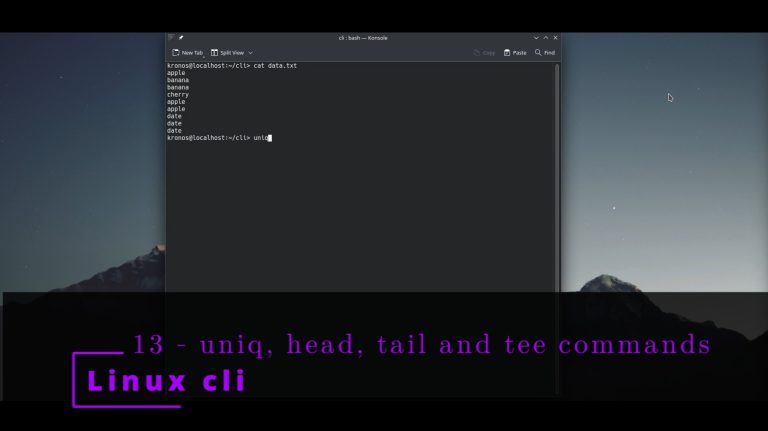 Linux 13 🐧 uniq, head, tail and tee commands