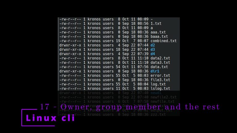 Linux CLI 17 🐧 Owner, group member and the rest