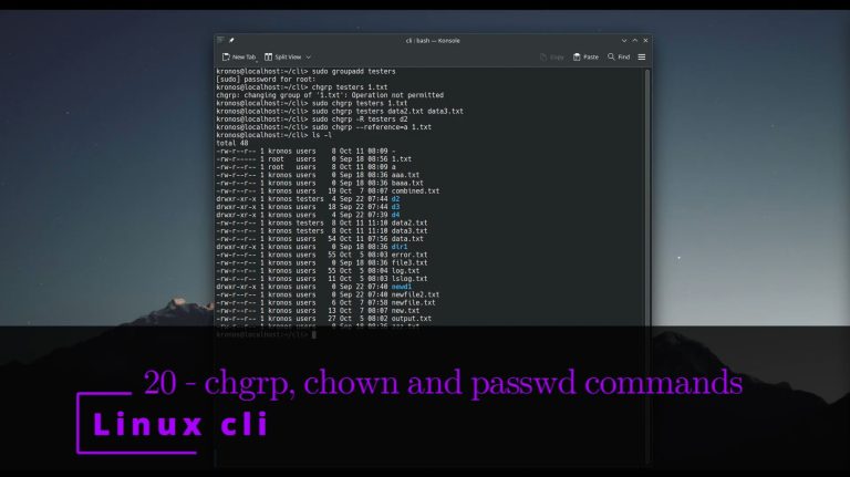 Linux CLI 20 🐧 chgrp, chown and passwd commands