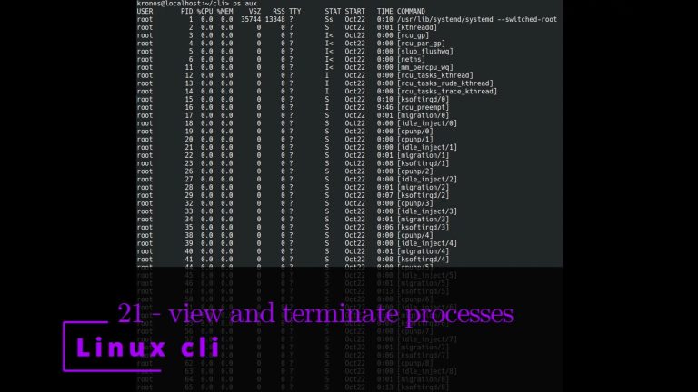 Linux CLI 21 🐧 view and terminate processes
