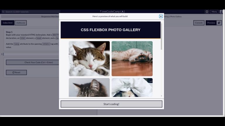 FreeCodeCamp 🌐 Responsive Web Design 🌐 Photo Gallery 🌐 1,2,3