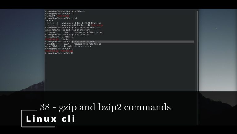 Linux CLI 38 🐧 gzip and bzip2 commands