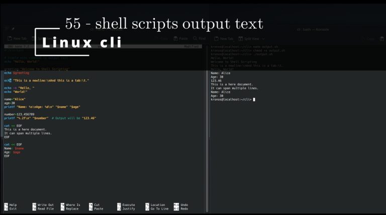 Linux CLI 55 🐧 shell scripts output text