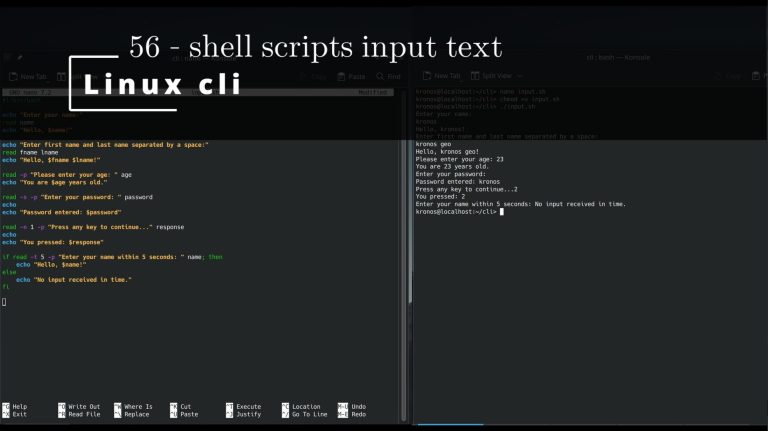 Linux CLI 56 🐧 shell scripts input text