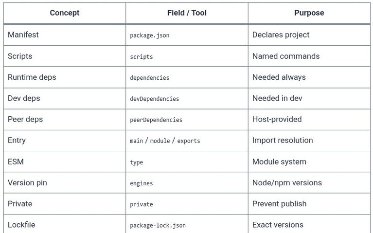JavaScript 69 🧬 package.json + npm/yarn/pnpm