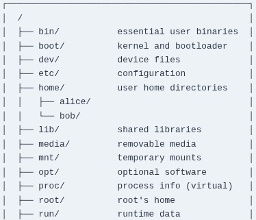 LFCA 9 🐧 The Linux Filesystem Hierarchy