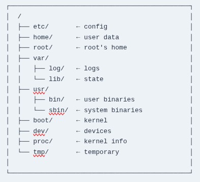 LFCA 10 🐧 Important Directories Explained