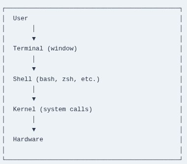 LFCA 11 🐧 The Shell — What It Is and How It Works