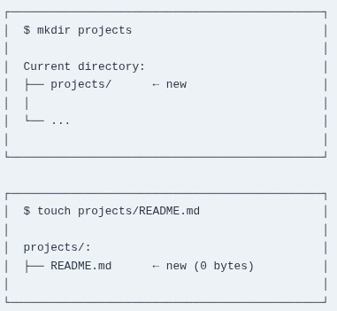LFCA 14 🐧 Creating Files and Directories — touch, mkdir