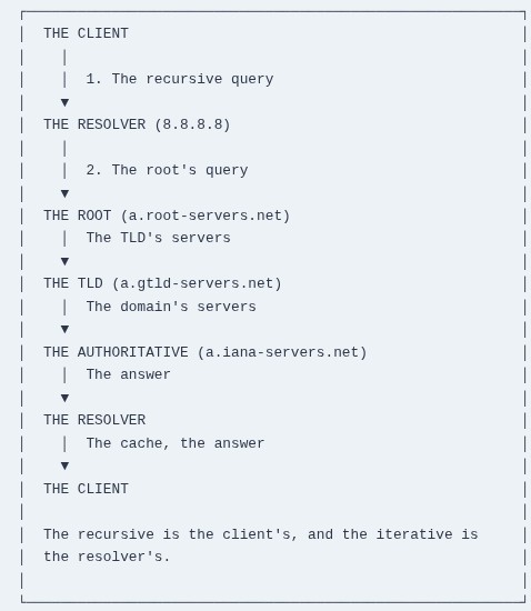 LFCA 44 🐧 What DNS Does