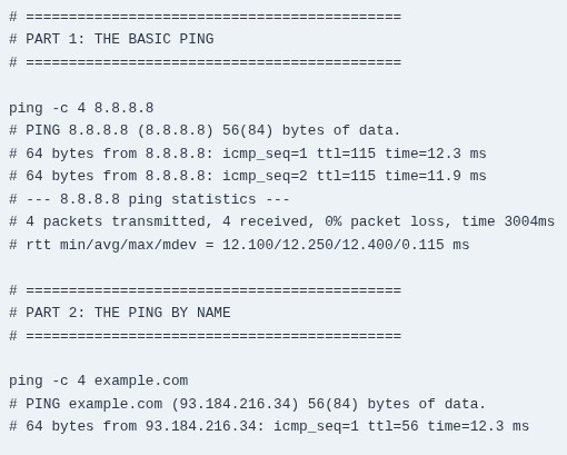 LFCA 46 🐧 Testing Connectivity — ping, traceroute