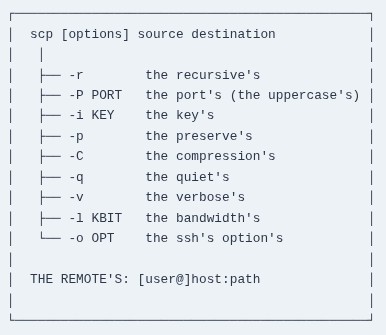 LFCA 53 🐧 Copying Files — scp