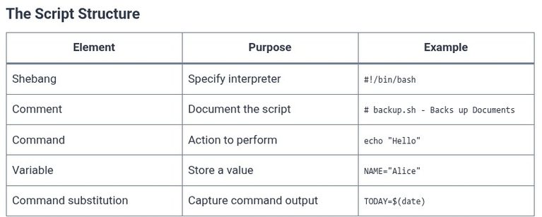 LFCA 56 🐧 Shell Scripting — Your First Script