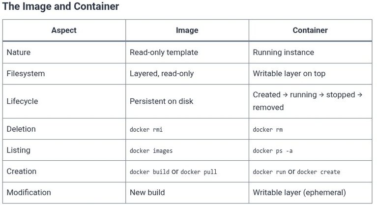 LFCA 77 🐧 Docker Images vs Containers
