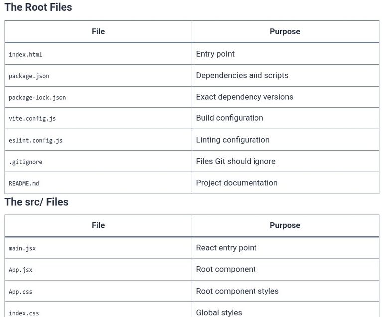 React 4 ⚛️ Understanding Project Directory Structure