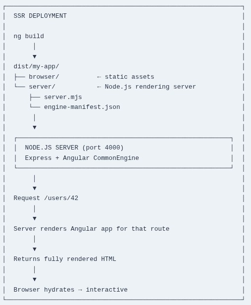 Angular 111 🅰️ Deployment — Static and SSR