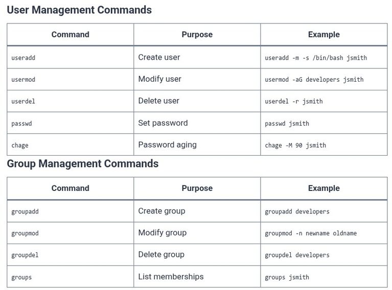 LFCA 119 🐧 Real-World Scenario — Managing Users and Permissions