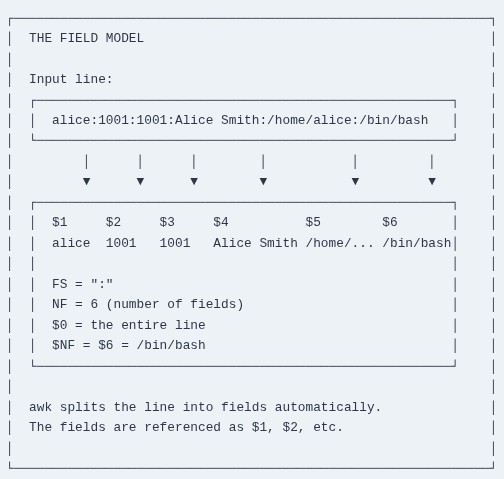 LFCS 18 🐧 Text Processing — awk Basics