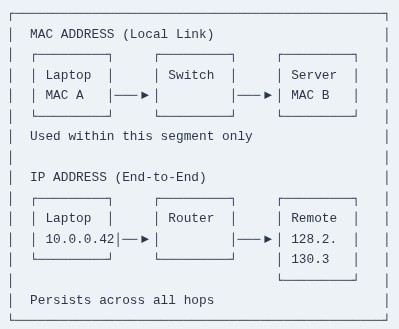 Internet Beginner 02 🌐 IP Addresses and MAC Addresses