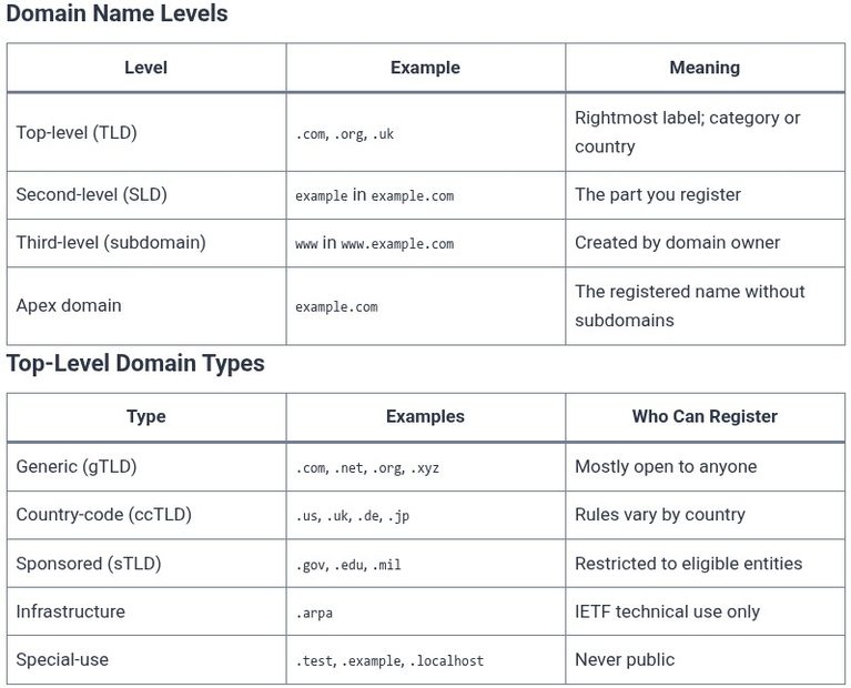 Internet Beginner 03 🌐 What is a Domain Name