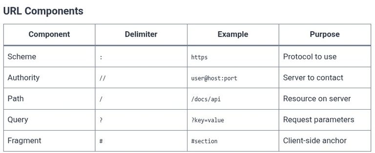 Internet Beginner 04 🌐 Anatomy of a URL and URI