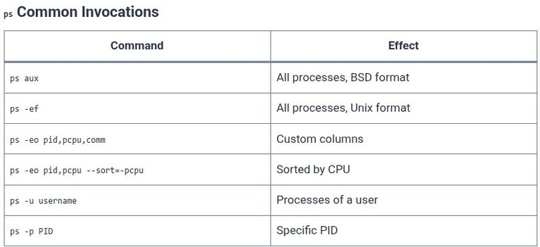 LFCS 54 🐧 Viewing Processes — ps, top, htop