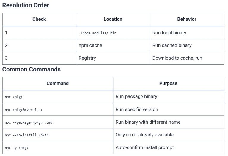 npm 09 🌐 Running Executables with npx