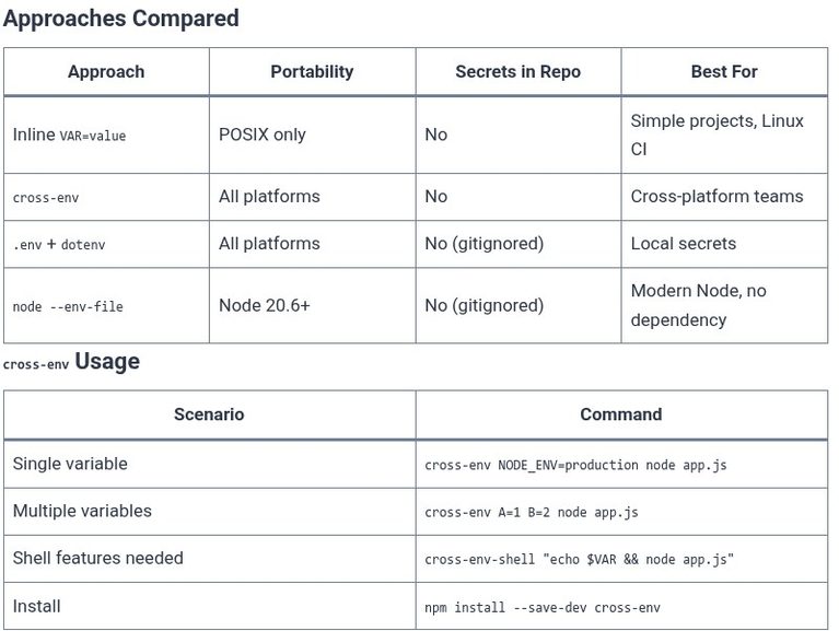 npm 12 🌐 Environment Variables in npm Scripts
