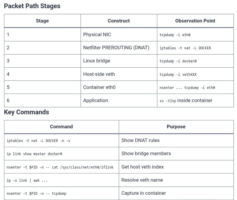 Docker 100 🐳 Docker Master Class: Hand-Tracing a Packet from Physical NIC through Bridge to Container App Core