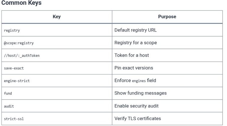 npm 22 🌐 Configuration Management (.npmrc File & Registry Config)