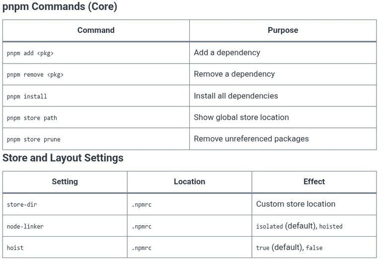 pnpm 01 📦 Introduction to pnpm and Content-Addressable Store Architecture