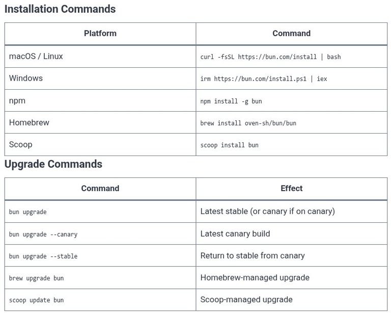 Bun 02 ⚡ Installing Bun and Managing Global Versions