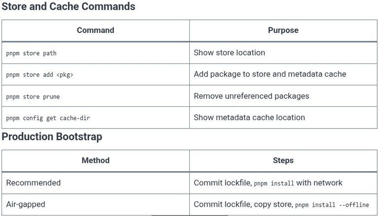 pnpm 10 📦 Offline Mode and Caching Best Practices in pnpm