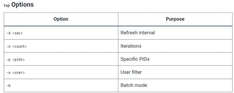 LFCS 133 🐧 Monitoring — top and htop